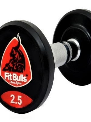 Rubber coated Dumbbell