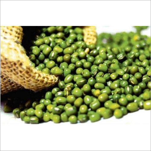 Green Gram ( Mung Bean )