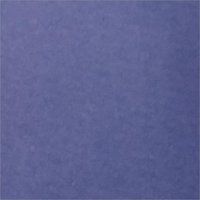 Plain 300 and 300 PVC Coated Fabric