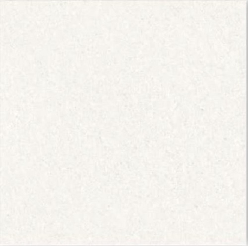 Trophica White Double Charge Vitrified Tiles