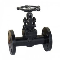 F.C.S. A105 Gate Valve