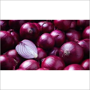 Fresh Red Onion By SUMESHA TRADERS