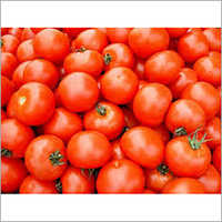 Fresh Tomato