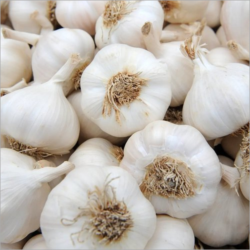 Natural White Garlic