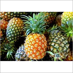 Natural Pineapple By SUMESHA TRADERS