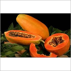 Fresh Papaya By SUMESHA TRADERS