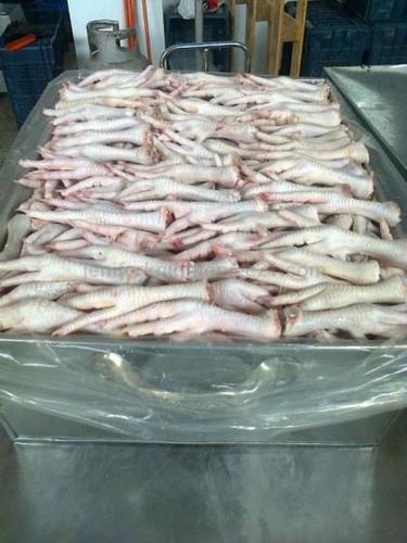 Good Halal Frozen Chicken Feet