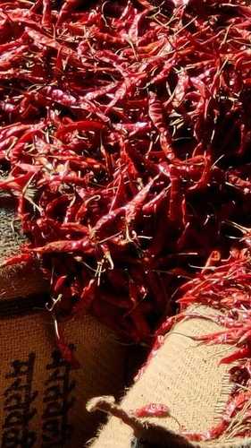 Piece Red Dry Chilli- Teja