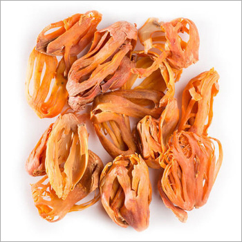 Fresh Natural Mace - Raw Sliced Pieces | Premium Quality Culinary Spice