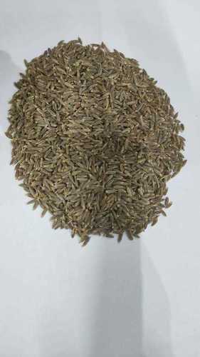 Dried Natural Cumin Seeds