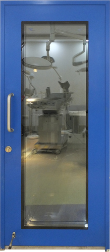 Swing Door