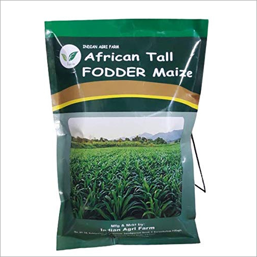 African Tall Maize