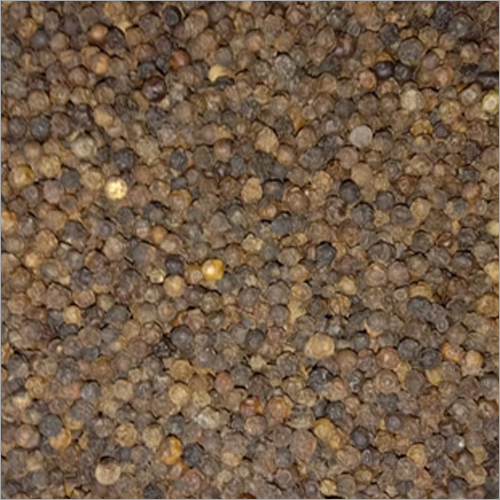 Black Pepper