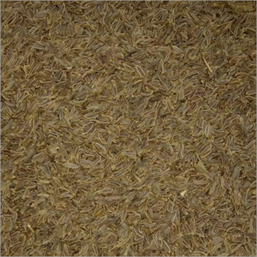 Cumin Seed