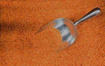 Masoor Dal