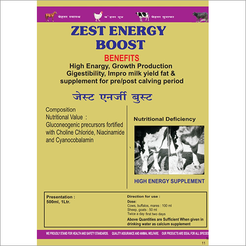 Zest Energy Boost By VAIDEHI HEALTH CARE