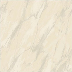 600X600 Cloud Gres Full Body (Nano) Tiles