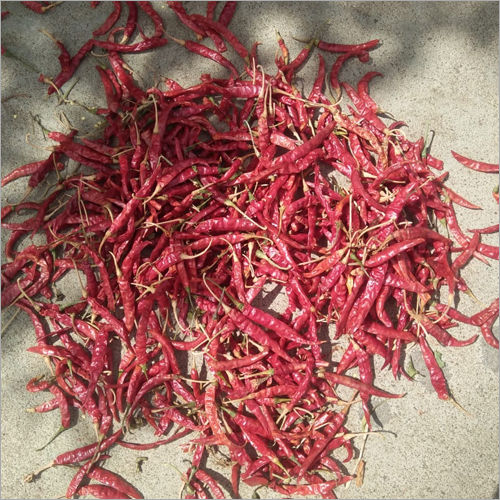 Byadgi Chilli
