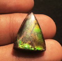 Ammolite Triangle Cabochon Loose Gemstones