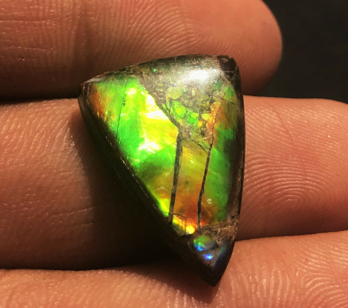 Ammolite Triangle Cabochon Loose Gemstones