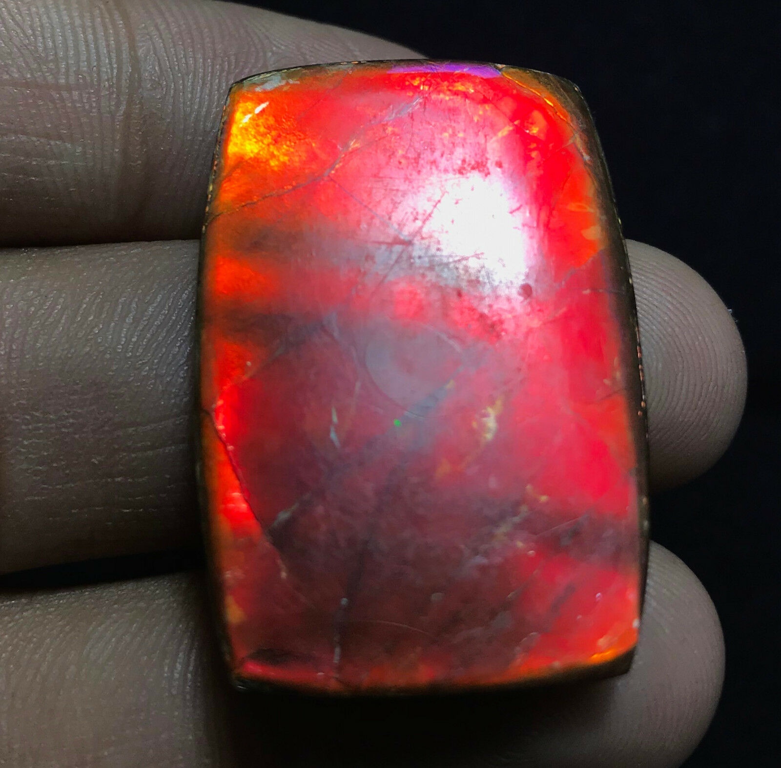 Ammolite Rectangle Cabochon Loose Gemstones