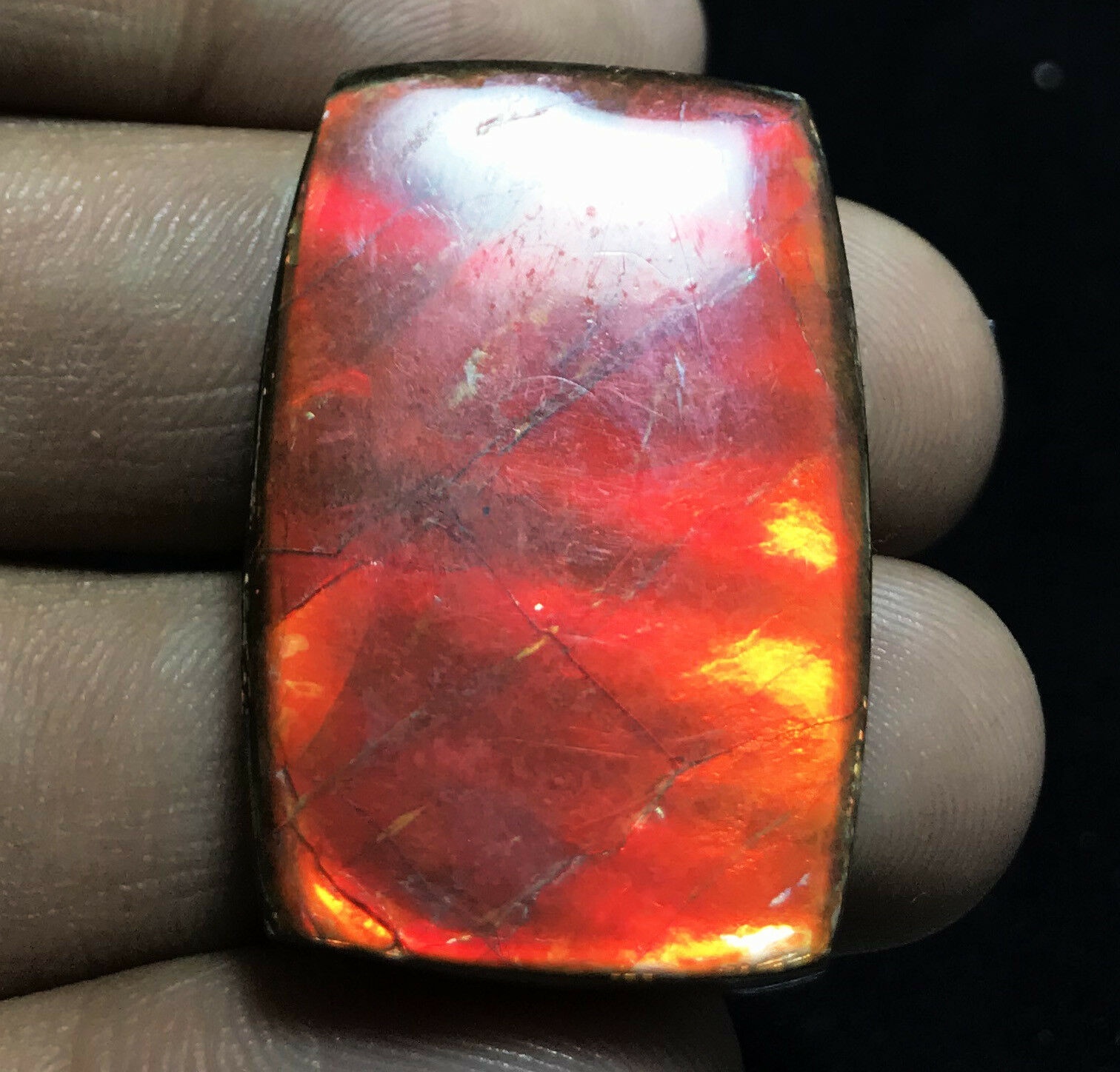 Ammolite Rectangle Cabochon Loose Gemstones