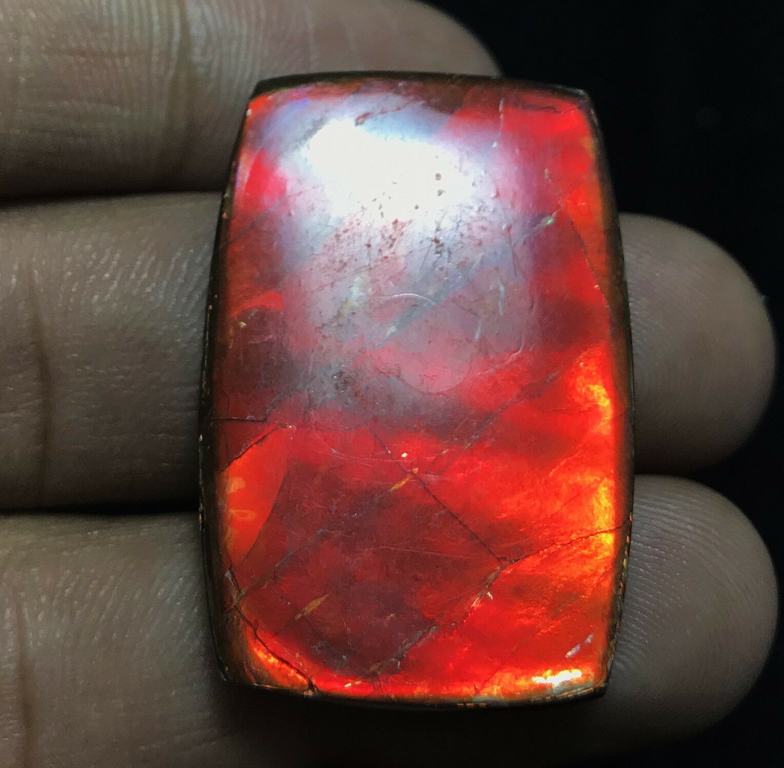 Ammolite Rectangle Cabochon Loose Gemstones