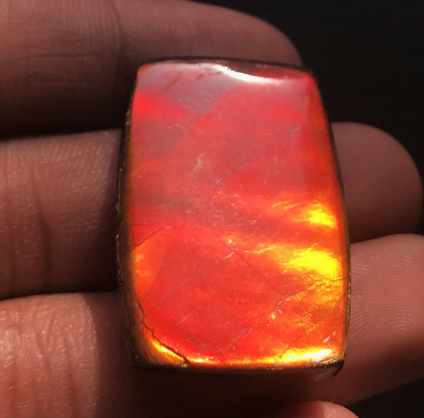 Ammolite Rectangle Cabochon Loose Gemstones