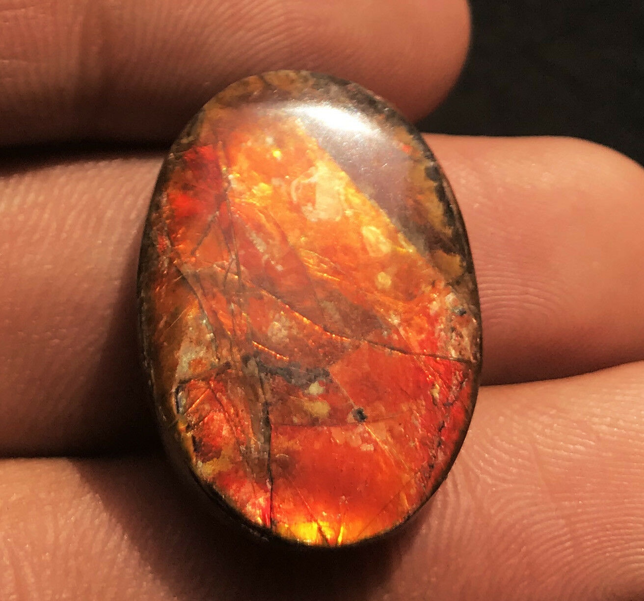 Ammolite Oval Cabochon Loose Gemstones