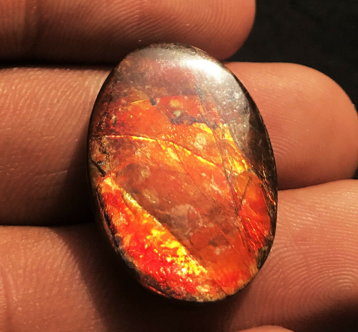 Ammolite Oval Cabochon Loose Gemstones