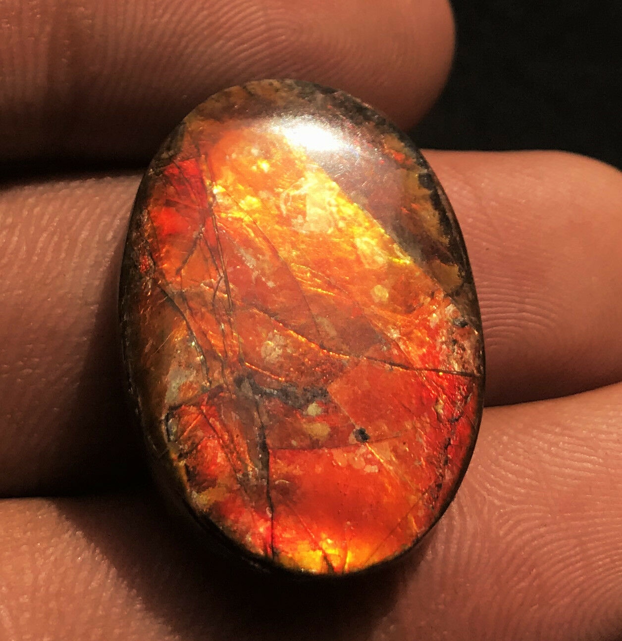 Ammolite Oval Cabochon Loose Gemstones