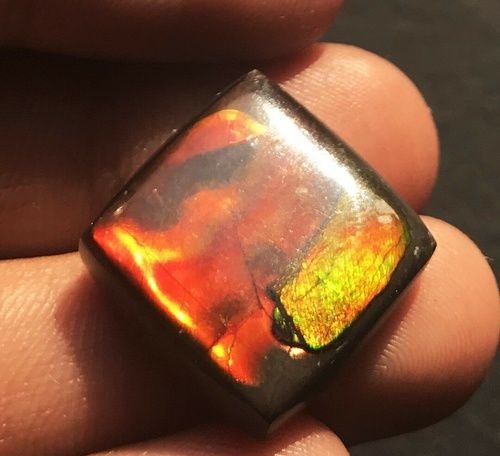 Ammolite Square Cabochon Loose Gemstones