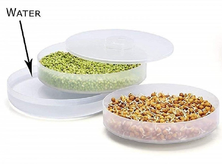 3 CONTAINER LAYER BOWL