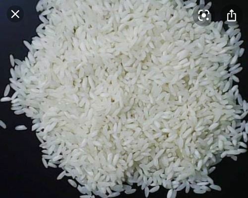 Sona Masoori Rice