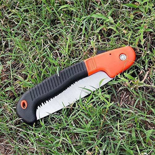 PRUNE CHROMIUM KARAVTI