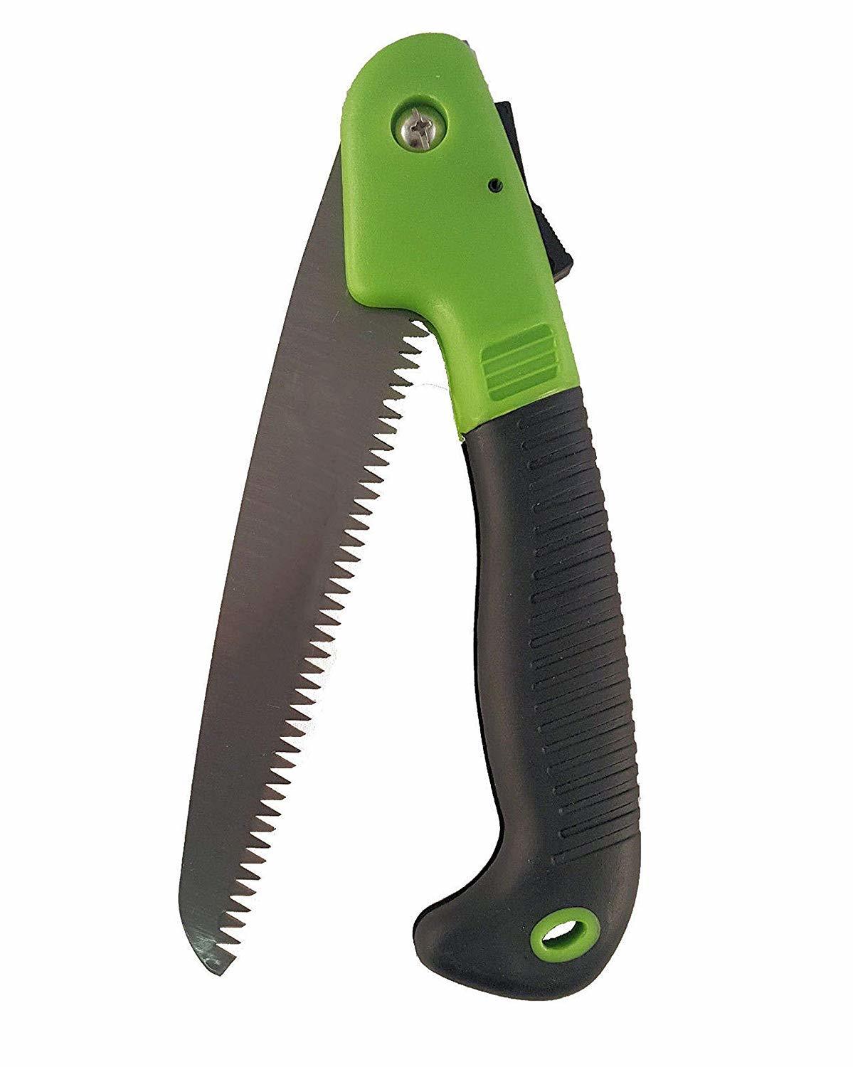 PRUNE CHROMIUM KARAVTI