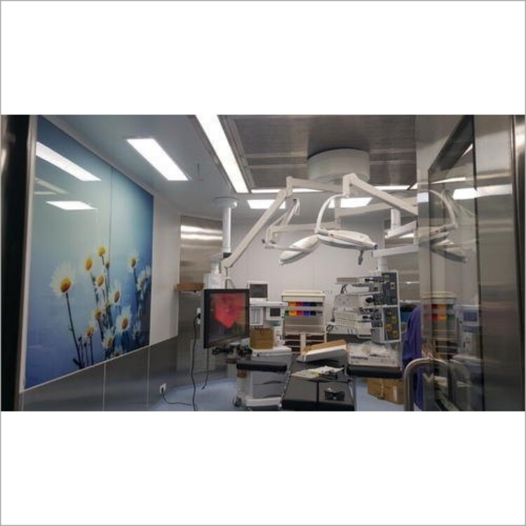 Ss 304 Modular Operation Theatre Lights - Metals Type: Steel