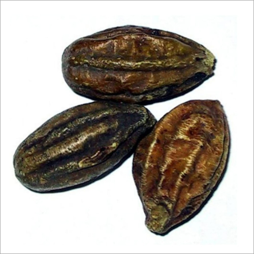 Inknut Terminalia Chebula