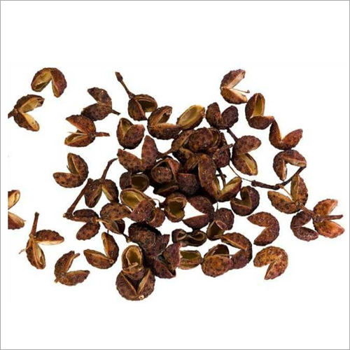 Teppal Seeds