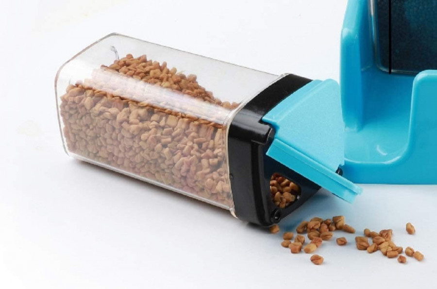 SPRINKLE SET OF 4 SPICE