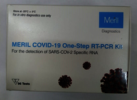 RT PCR