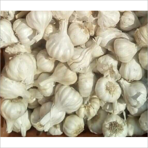 Whole Garlic Moisture (%): 90 -100%