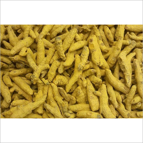 Yellow Turmeric Finger