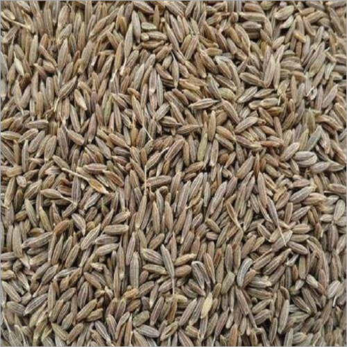 Cumin Seeds Grade: Spice Grade