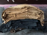 Crust Leather - Buff Calf Leather 30 X 40 Feet, Natural Finish, Plain Pattern, Ideal For Garment Manufacturing