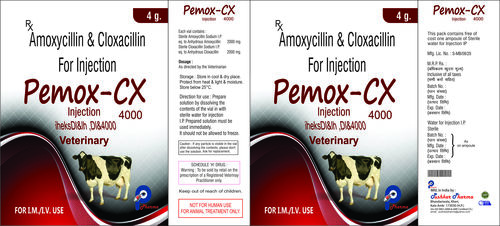 Amoxycillin Cloxacillin for Injection