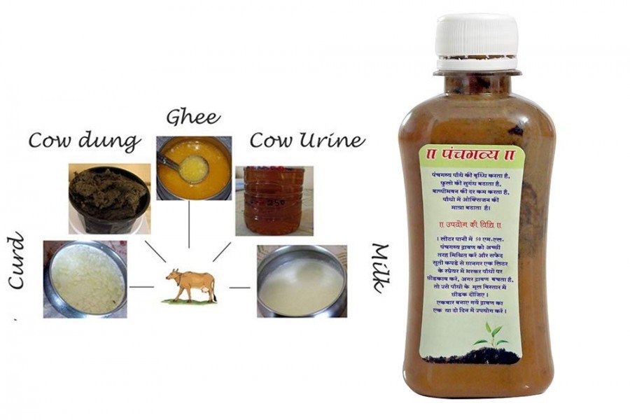 PANCHAGAVYA LIQUID FERTILIZER 250 ML