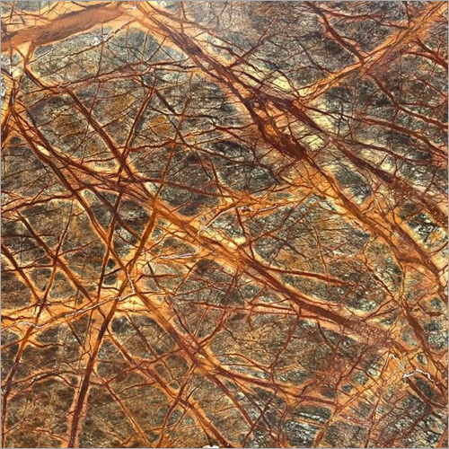 Rain Forest Brown