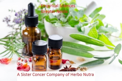 Rosemary Oil By Herbo Nutra Extract Private Limited