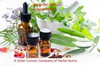 Rosemary Oil